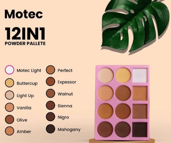 MOTEC STUDIO 12 IN 1 PREMIUM PALLET(SHIMMERING)
